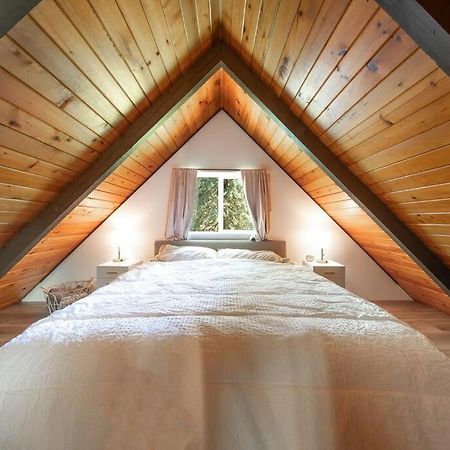 R & R Chalet At Mt. Rainier 애쉬포드 외부 사진