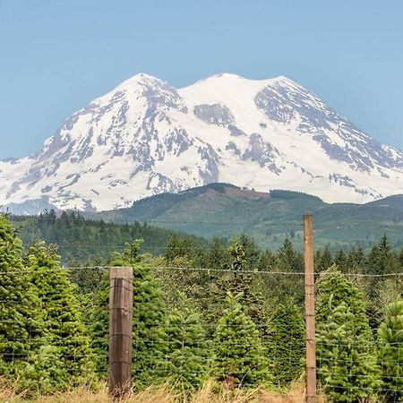 R & R Chalet At Mt. Rainier 애쉬포드 외부 사진