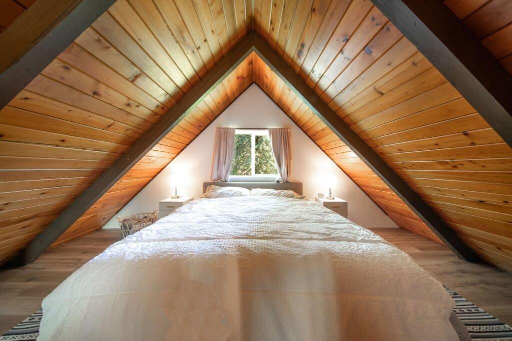 R & R Chalet At Mt. Rainier 애쉬포드 외부 사진