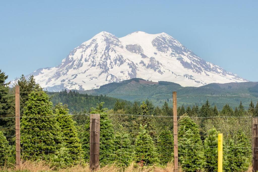 R & R Chalet At Mt. Rainier 애쉬포드 외부 사진