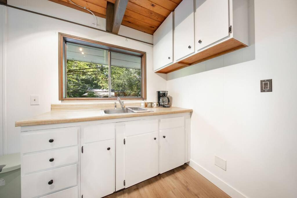 R & R Chalet At Mt. Rainier 애쉬포드 외부 사진